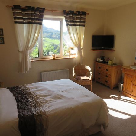 Heulwen Guest House Dolgellau Zewnętrze zdjęcie