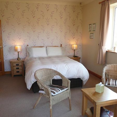 Heulwen Guest House Dolgellau Zewnętrze zdjęcie