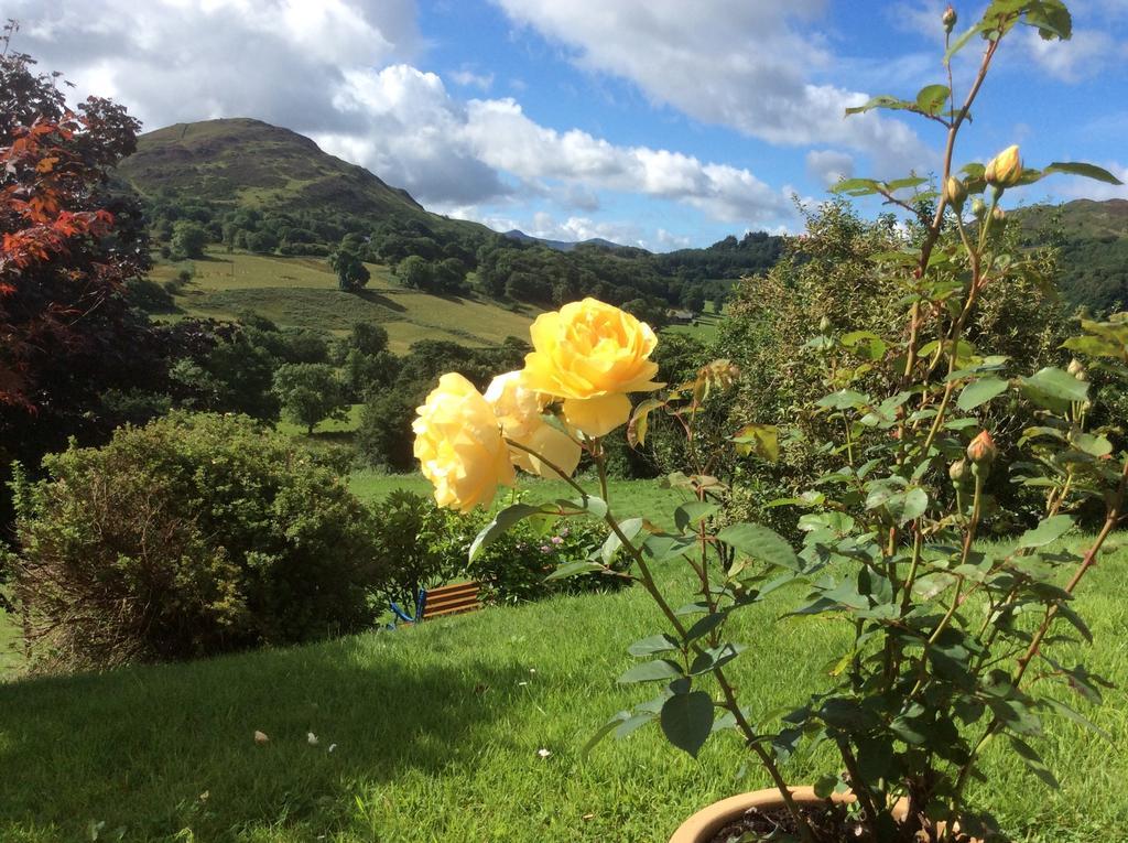 Heulwen Guest House Dolgellau Zewnętrze zdjęcie